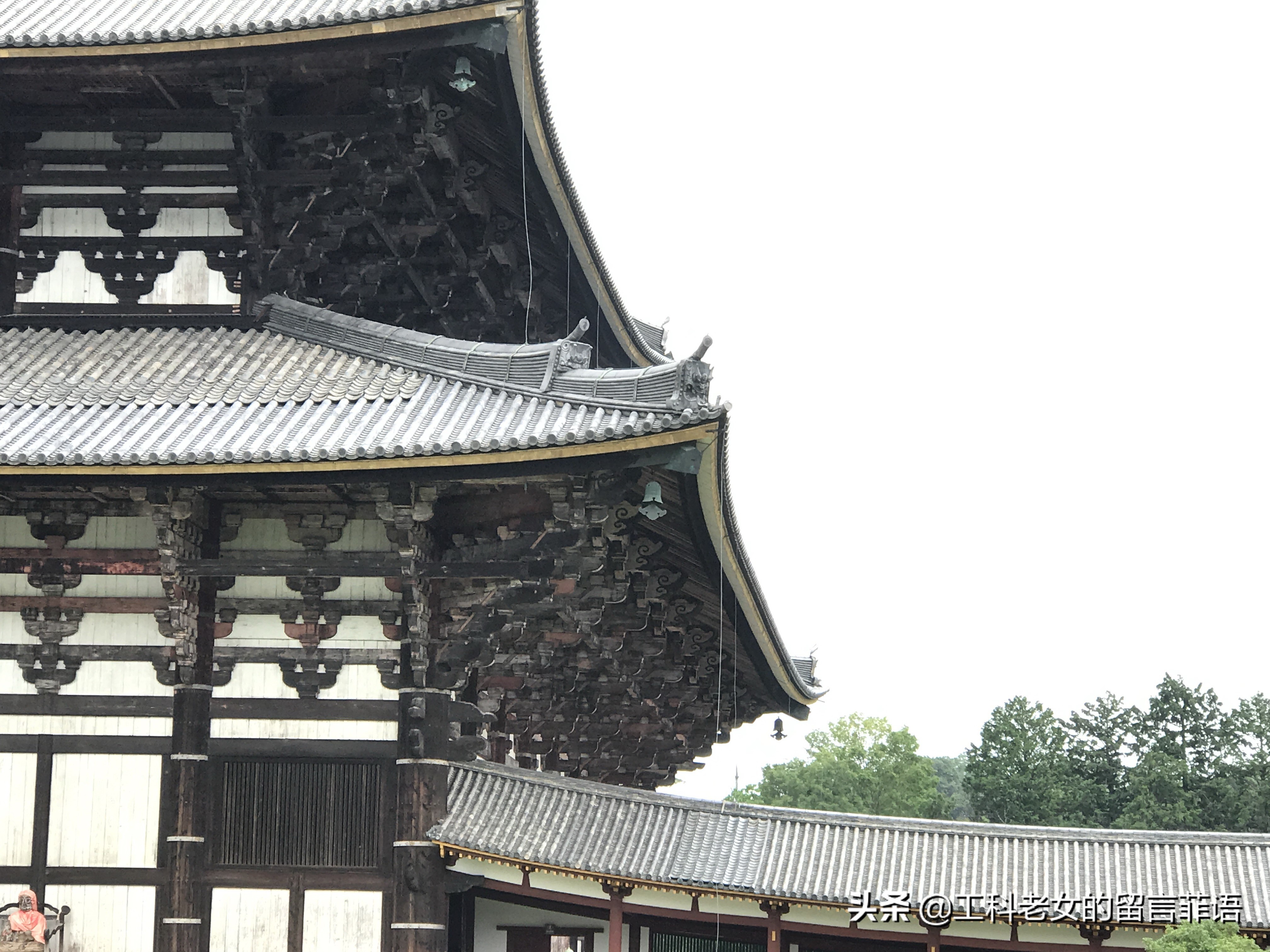 奈良东大寺大佛殿和太和殿,奈良东大寺位置地图图片