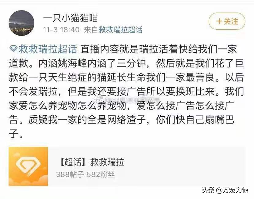瑞拉热议——如何做好一名称职的铲屎官