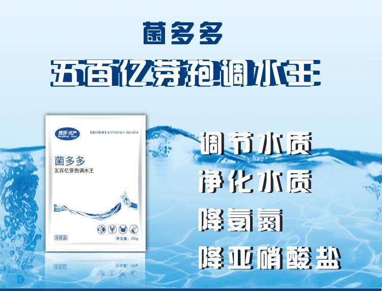 日本对虾黑鳃是什么原因,对虾轻微黑鳃怎么处理好