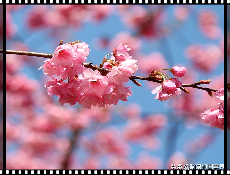 什么软件给照片加边框,什么app可以给照片加画框