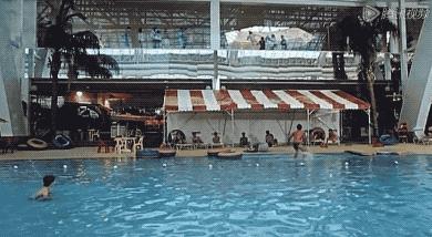 成龙唯一用过的替身,给成龙拍过电影