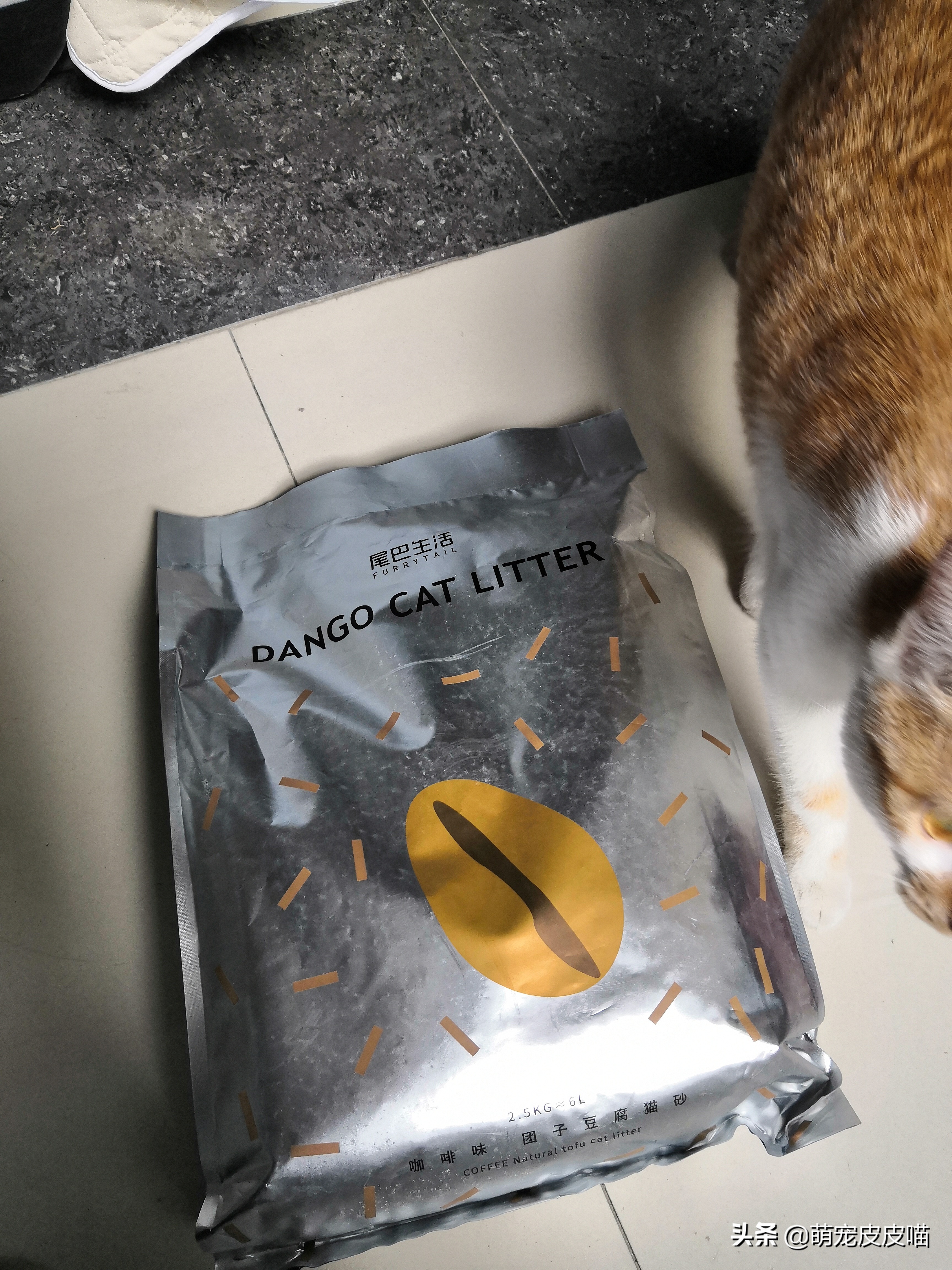 尾巴生活豆腐猫砂和一罐好鱼猫罐头测评,需要的铲屎官看过来哦