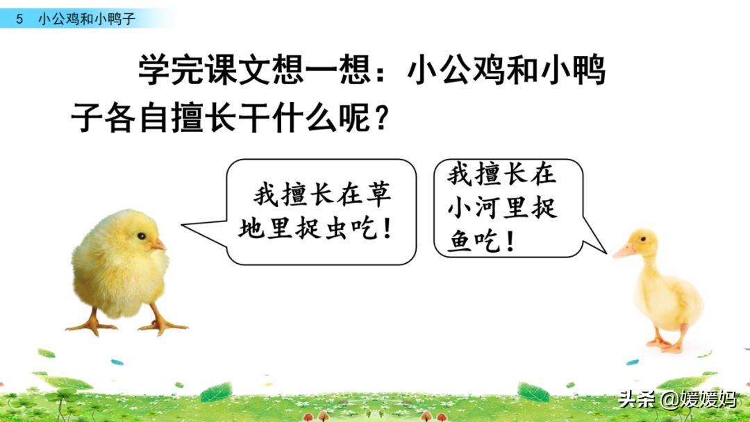 一年级小公鸡和小鸭子仿写句子,一年级小公鸡和小鸭子的看图写话