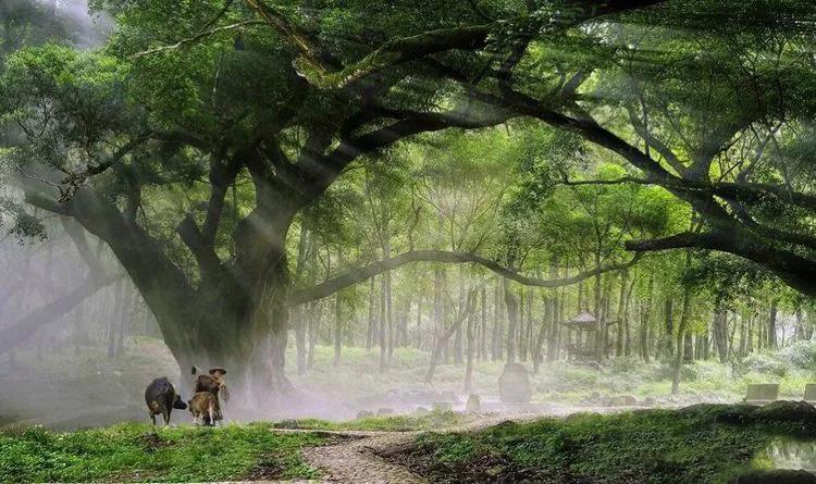 霞浦滩涂光影摄影作品,霞浦摄影风光