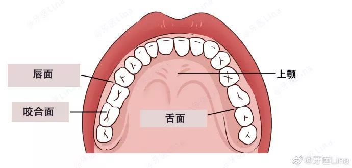 usmile电动牙刷牙医推荐款,价格便宜的电动牙刷真的好用吗