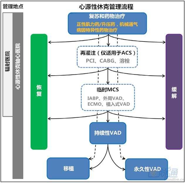 医学生必备的急救操作,心源性休克内科学教材