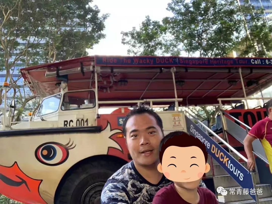 十一新加坡,十一游学新加坡