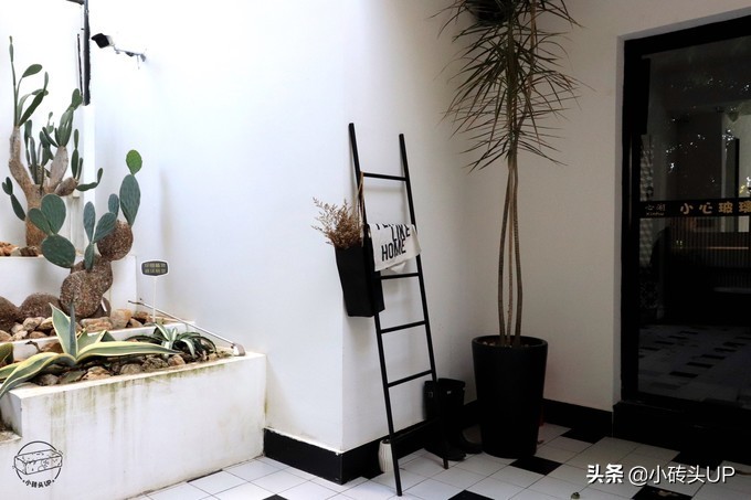 厦门的攻略,厦门的旅游攻略学生版