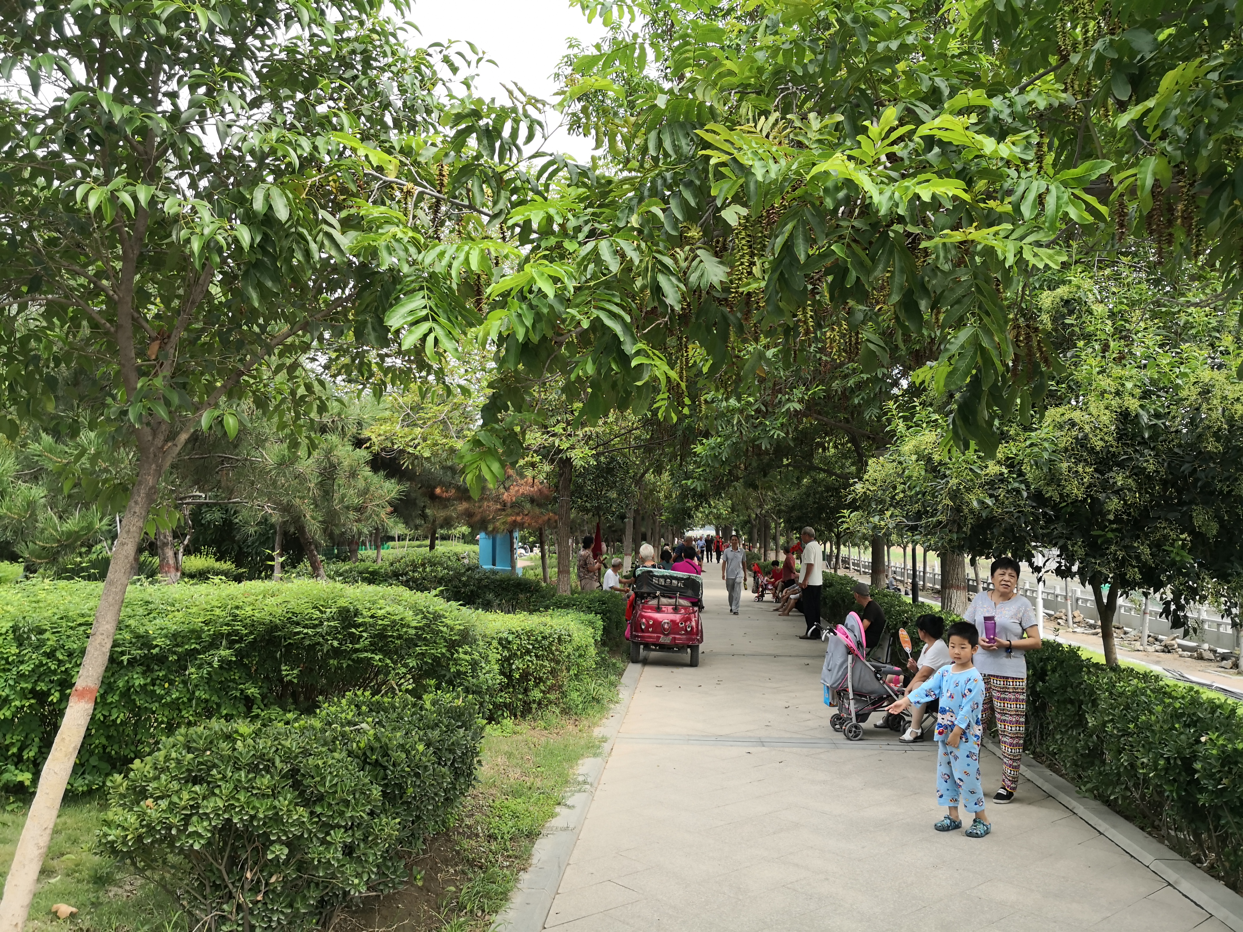 郑州北三环国基路房价,北三环以北国基路房价多少