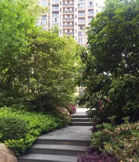 上海星河湾豪宅多少钱,上海星河湾最好房子