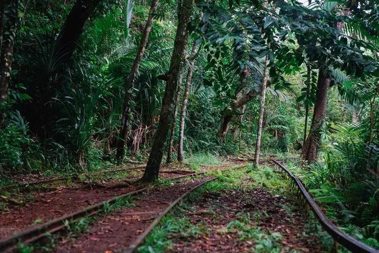 帕劳旅游攻略自由行路线推荐,帕劳旅游攻略全过程