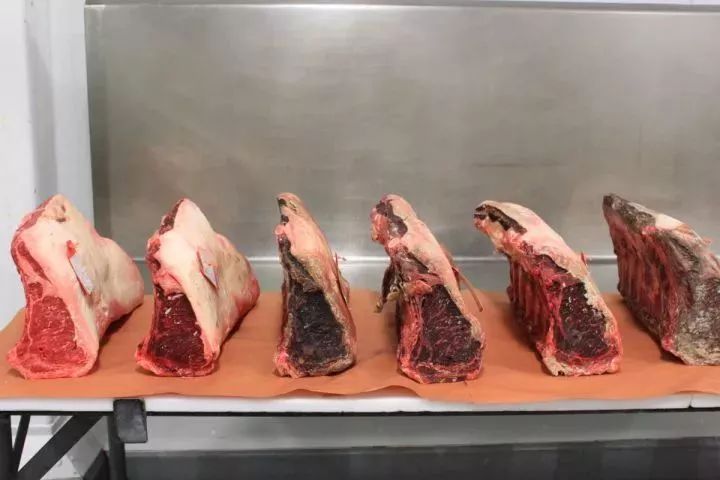 熟成牛排是智商税吗,熟成牛排算僵尸肉么