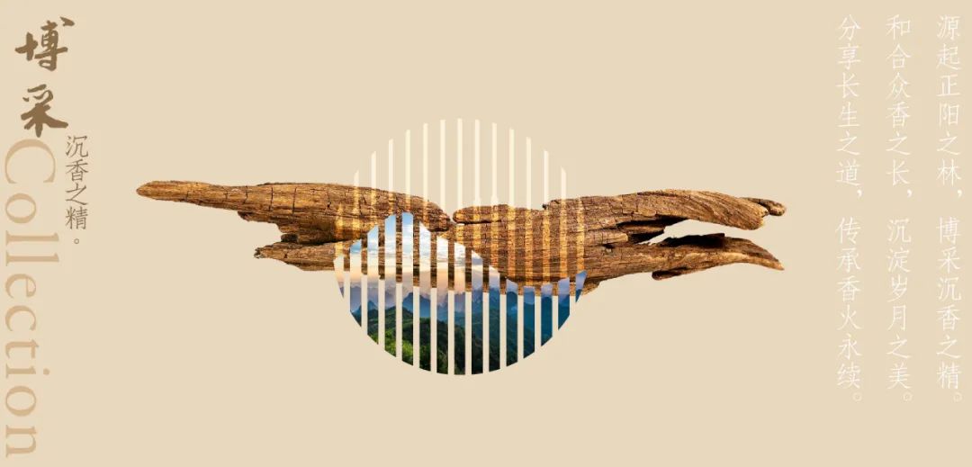 如何进行一整套包装设计,干货礼盒包装设计