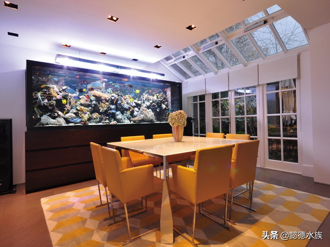 鱼缸氧气太足对鱼好吗,鱼缸没有氧气泵怎么办