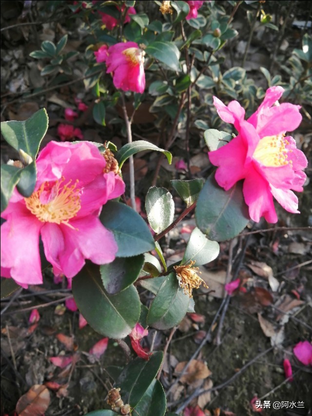 爱情到底要不要顺其自然,对待爱情和友情的态度一样不强求