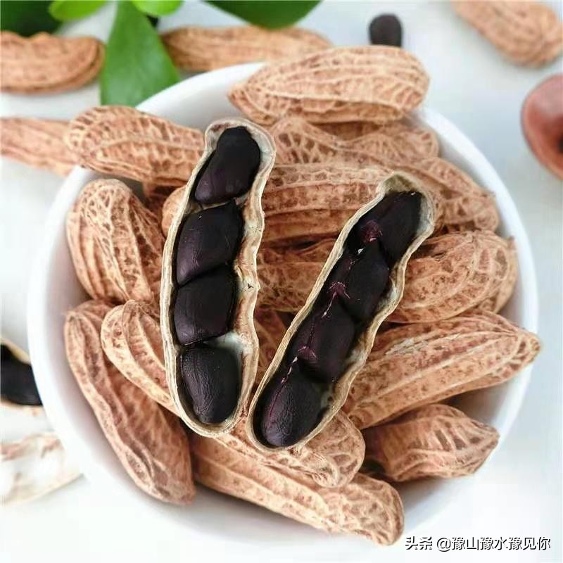 发现生活中的各种奇妙物品,发现生活中的缤纷世界