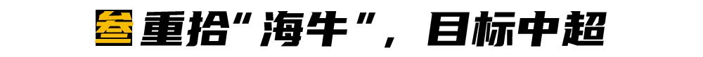 海牛归来海贼王,海牛归来