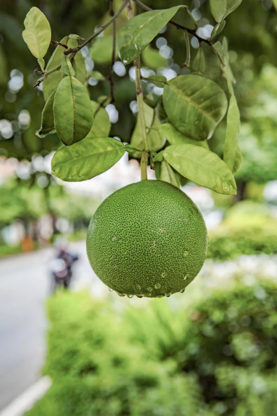 云南旅游最便宜的机票,云南旅游机票最便宜的时候