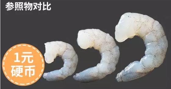 南美白虾虾仁,又白又嫩水晶虾仁