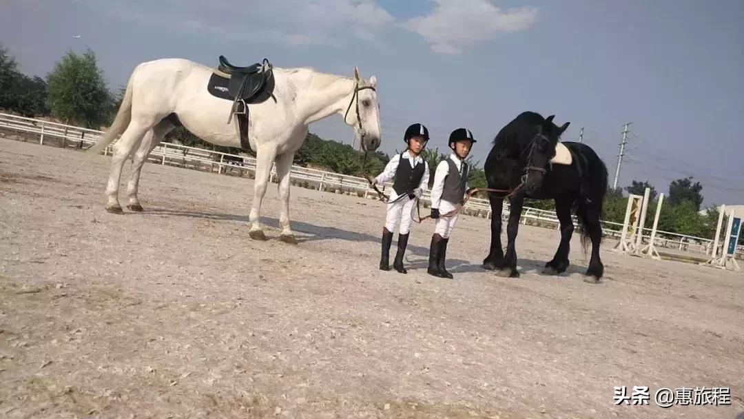 北京朝阳蓝调庄园温泉门票团购,蓝调庄园温泉298元