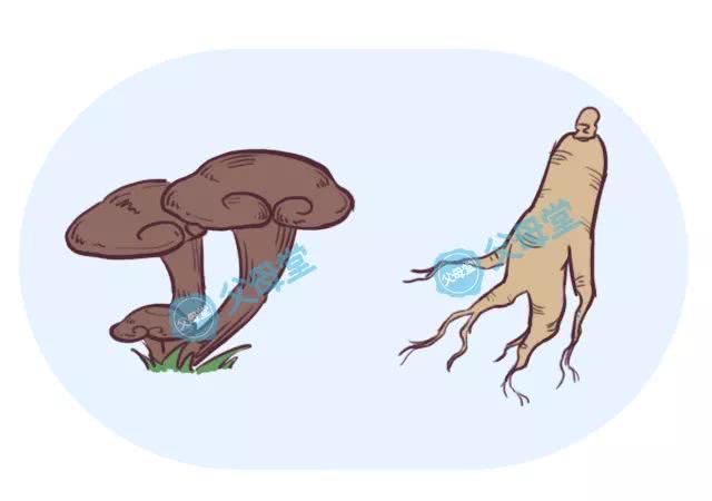 孩子反复感冒长期咳嗽的调理方法,小孩反复发烧咳嗽打针不好