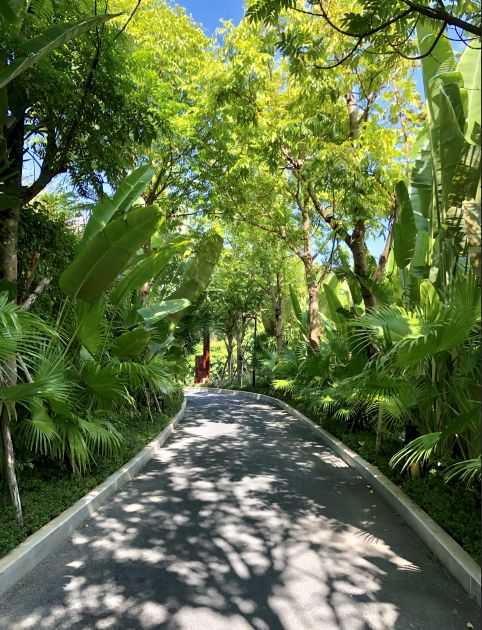 三亚这家口碑爆棚的酒店,三亚酒店最好看的一家