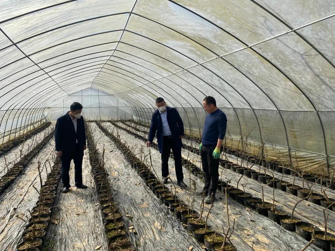 【支持春耕备耕全国农信在行动】接力复工复产，全国农信支持春耕备耕信贷达3822.54亿元