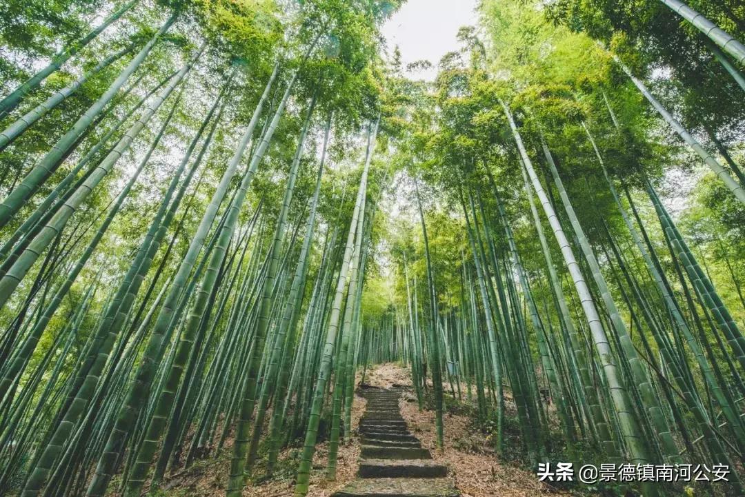 词中之龙辛弃疾10首经典词句欣赏,辛弃疾最有名的10首诗词