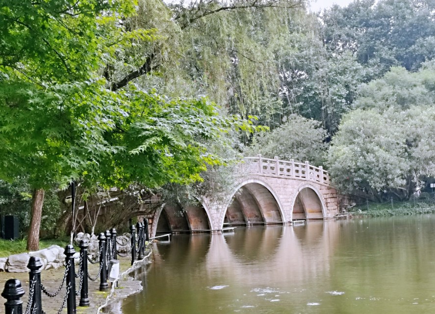 雨天的虹口公园,魔都虹口公园