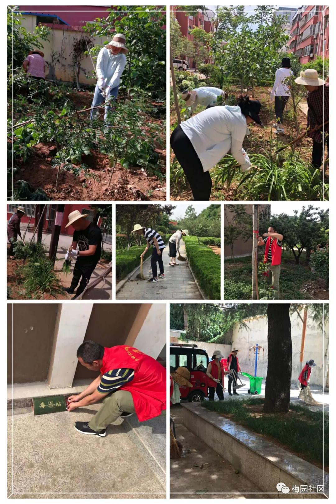最靓的山亭,最美的遇见︱巩固国家卫生城市,我们在行动