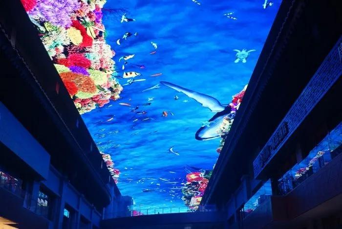 乌鲁木齐头屯河游客集散中心跨年,昌吉头屯河区游客集散中心电话