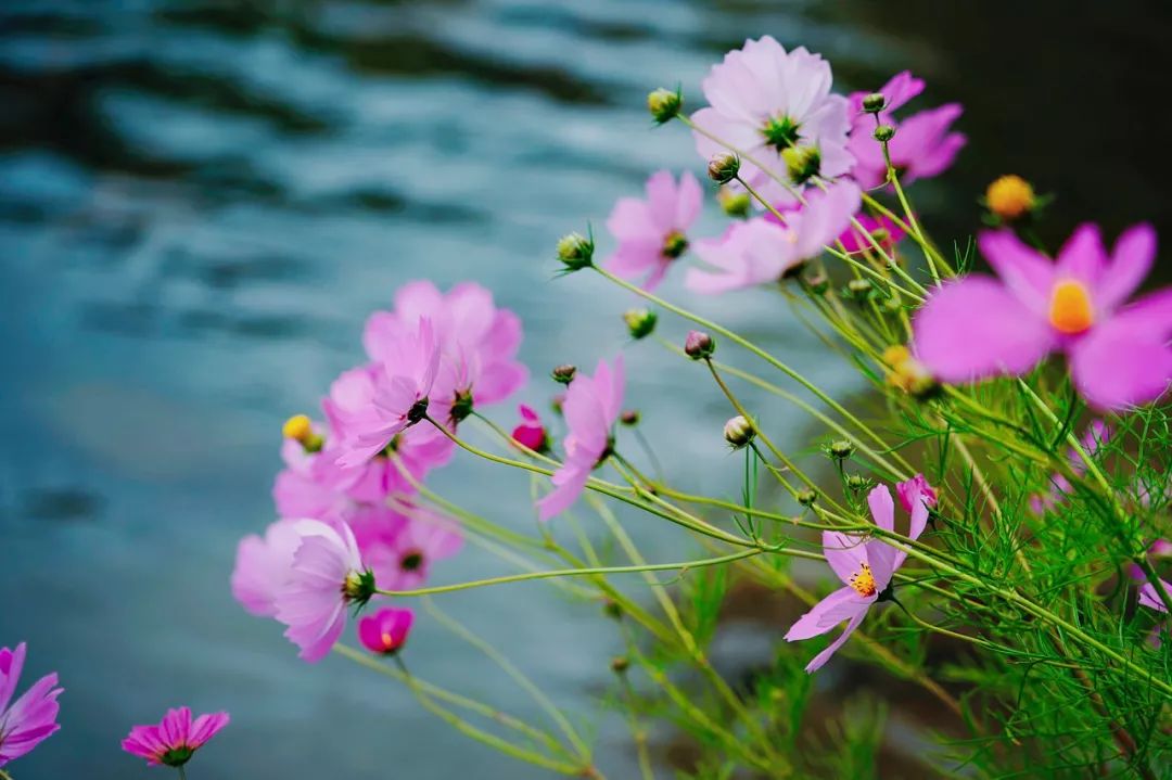 中国看日出最美的地方,中国最美的30个地方名单出炉