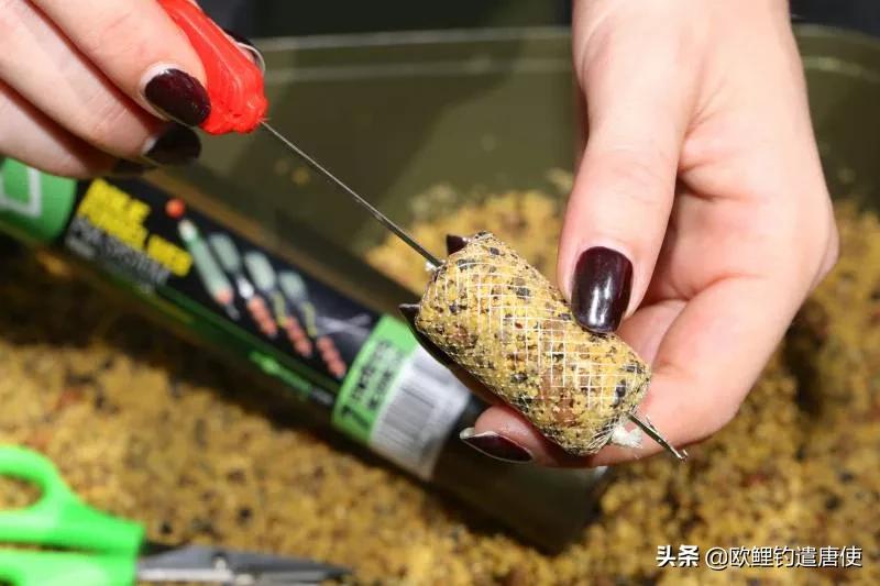 欧洲疫情催生钓鱼热？名企推新手套装钓大鲤鱼