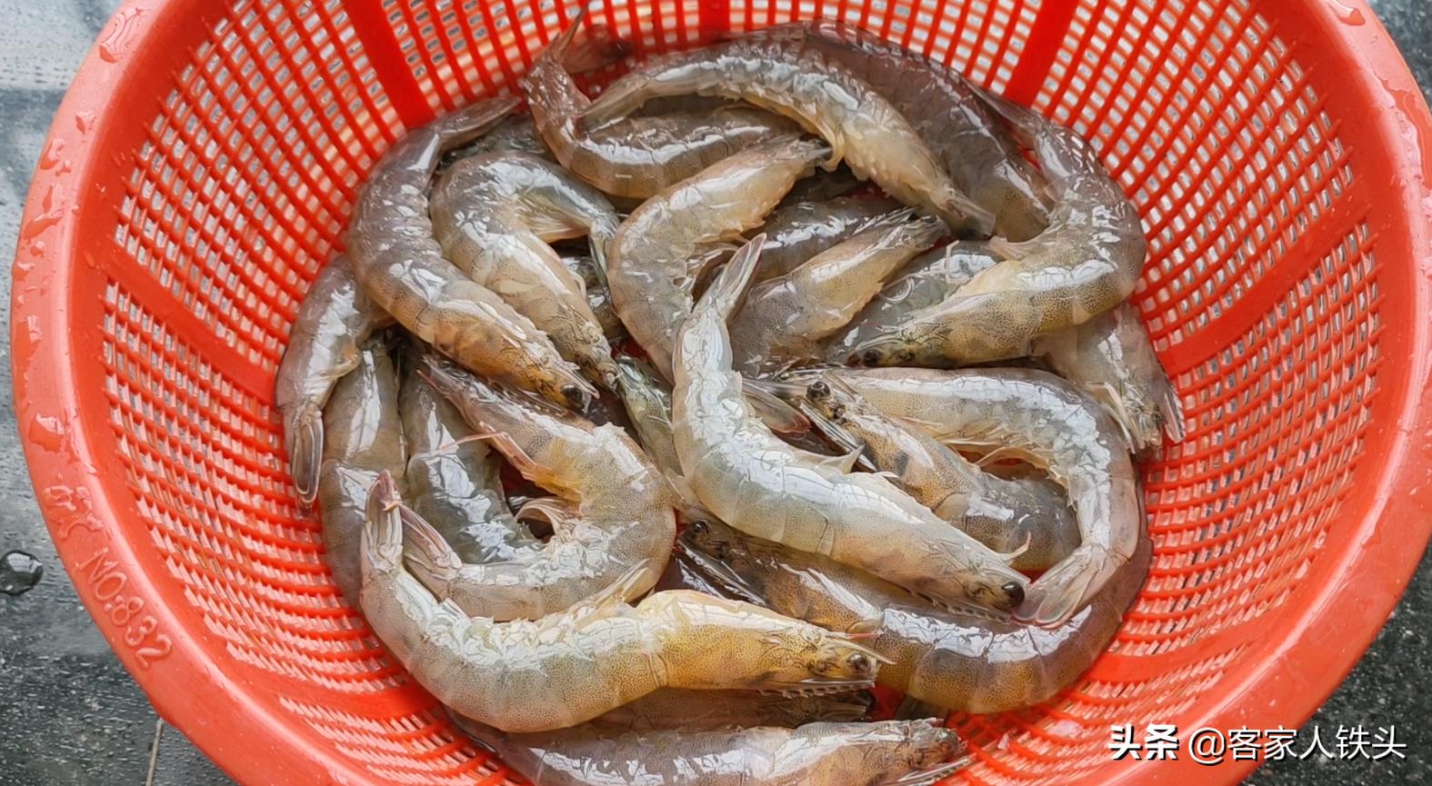 大虾这样做不加一滴水出锅香喷喷,大虾怎么做外酥里嫩特别开胃下饭