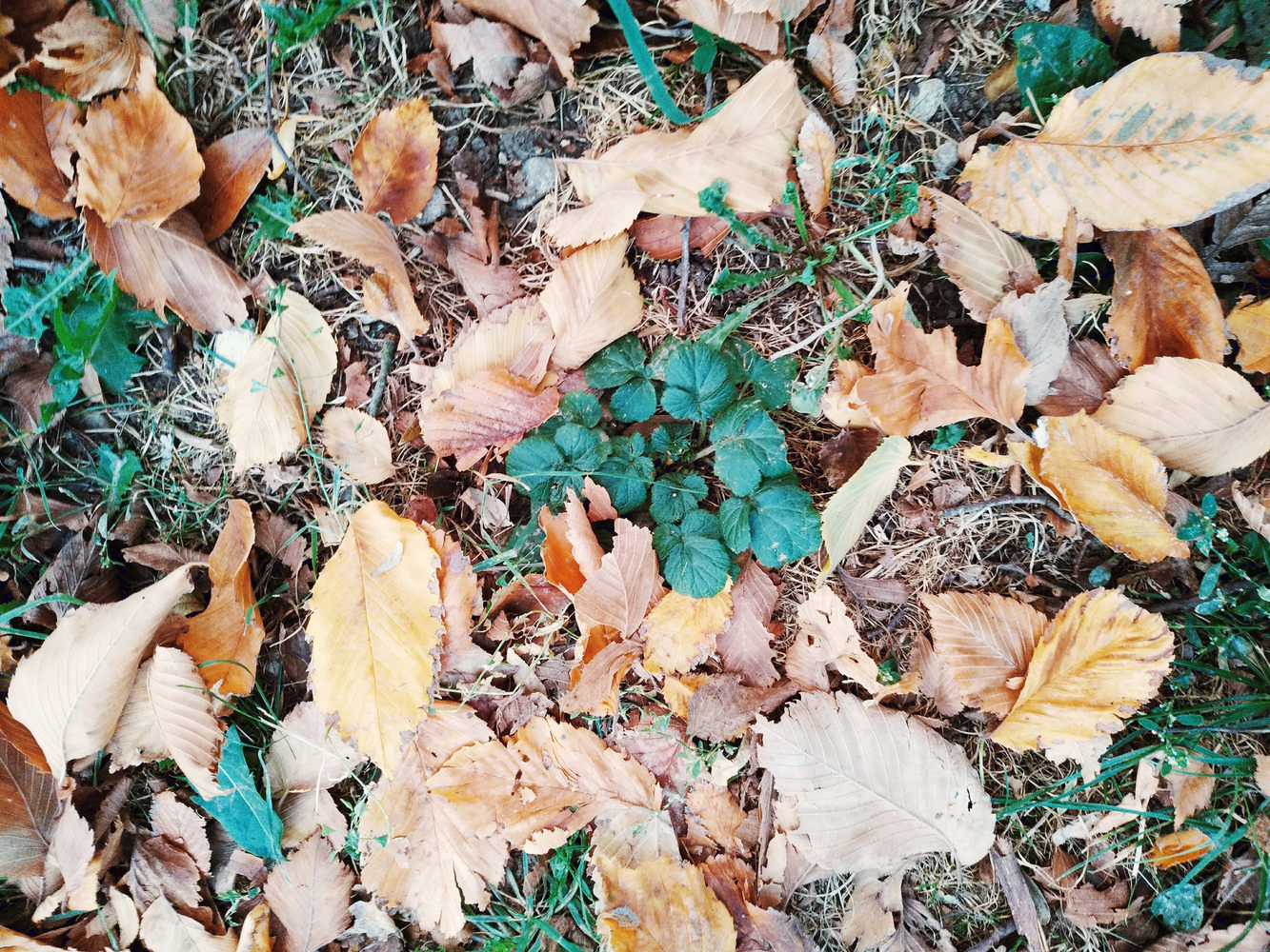 设计师福利模板,设计师必备100件用品