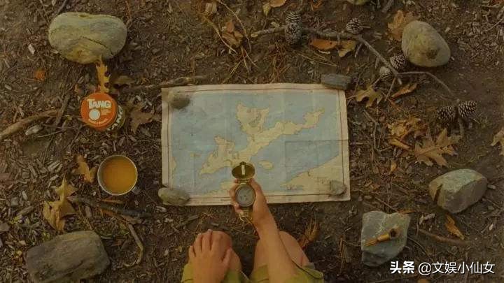 豆瓣8.2《月升王国》,安德森式童话美学,虚拟小岛的梦幻私奔