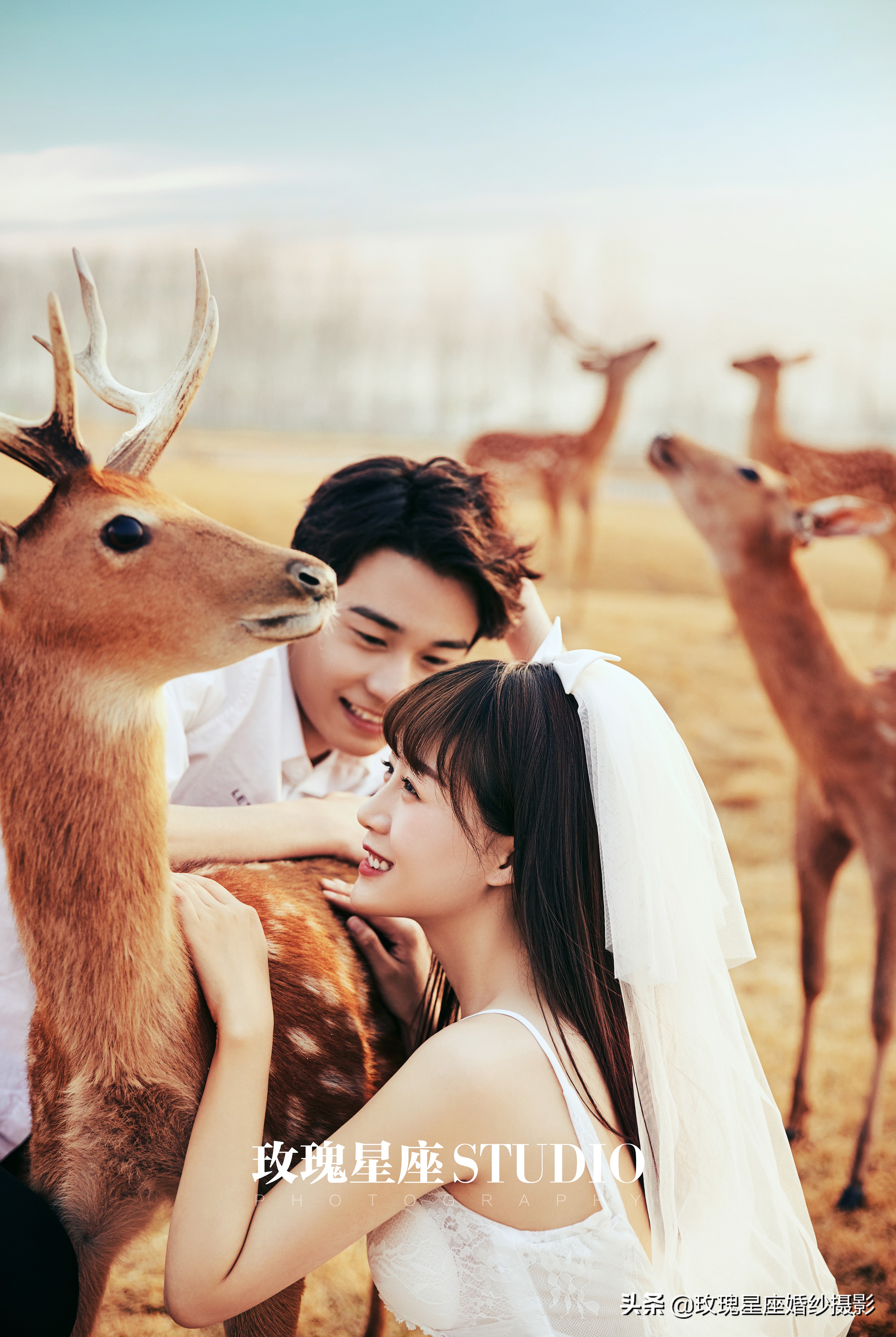 婚纱照都怎么拍最合适,拍婚纱照自己怎么拍才能好看呢