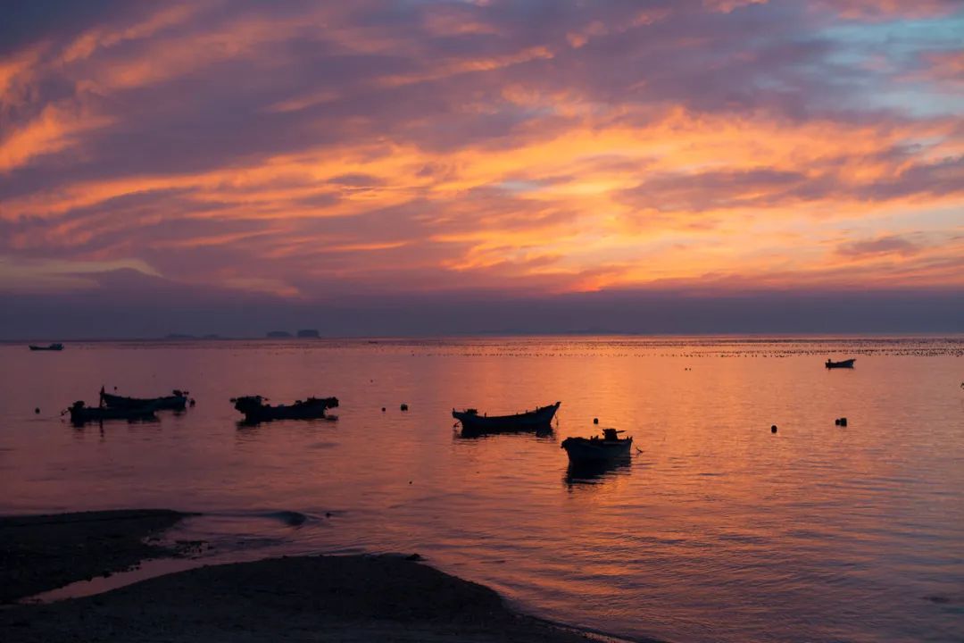 去大连海边玩一趟要多少钱,去海滨城玩有什么攻略