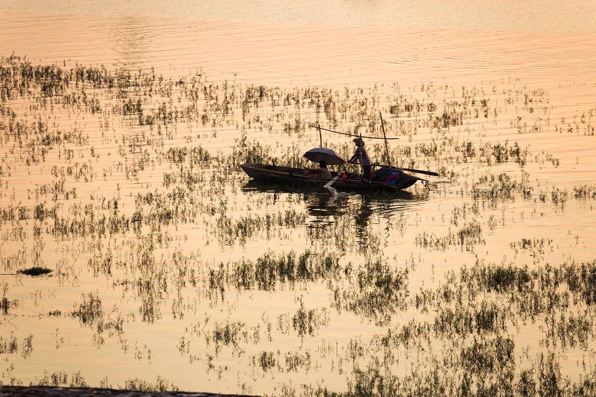 三水北江大堤风景区,北江大堤哪里风景最好