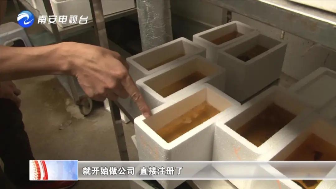 90后小伙的“斗鱼”梦：泰国斗鱼从南安“游”到全国各地！