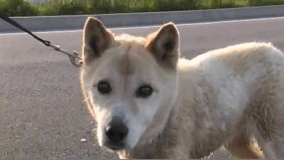 b站必看的综艺,b站能看的综艺推荐