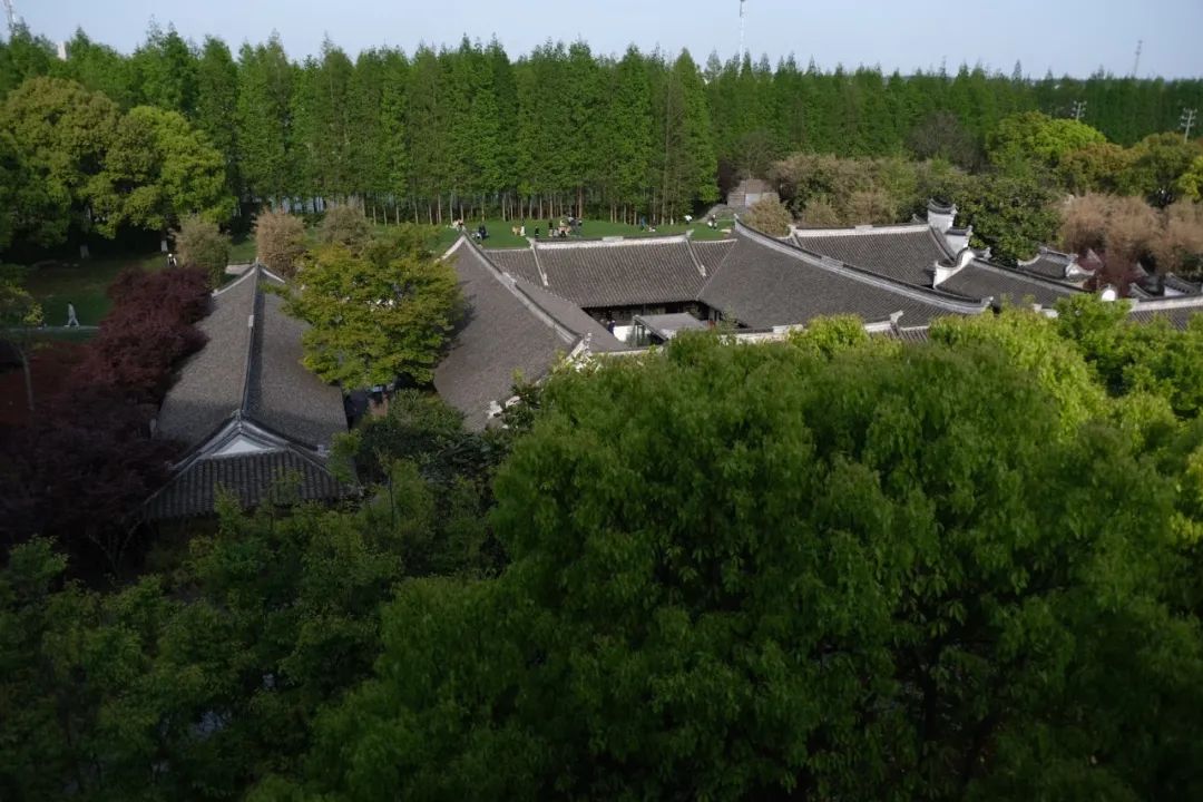 京城首家！探秘最热门“一尺花园”咖啡馆，西山脚*体下**会海派腔调