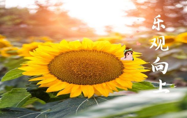 乙肝血液污染了食物能吃吗,乙肝病毒污染物体存活