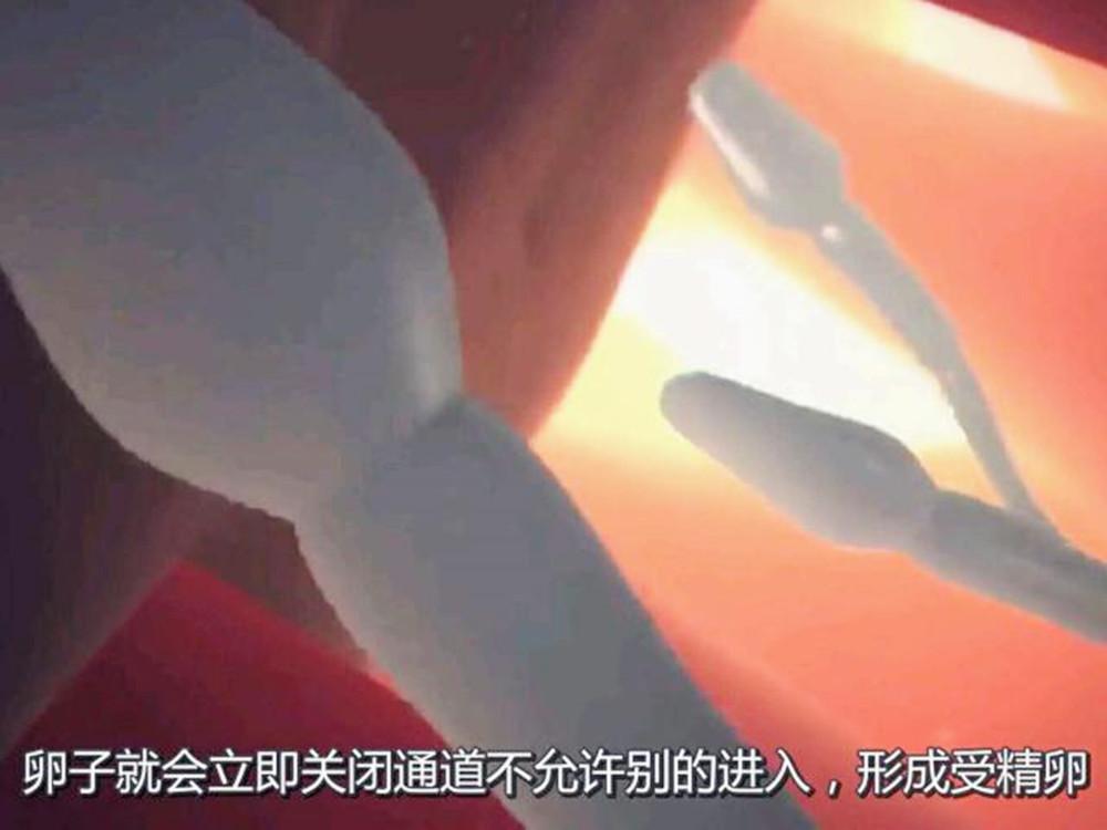 孩子怎么孕育出来的,孩子是如何孕育而成