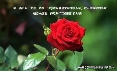 融资担保公司风险管理制度,融资担保公司薪酬