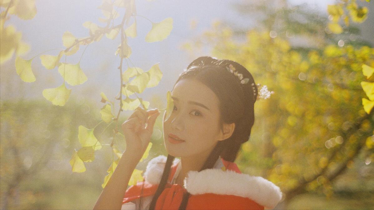 汉王朝奠定了坚实的基础,为大秦奠定万世之基