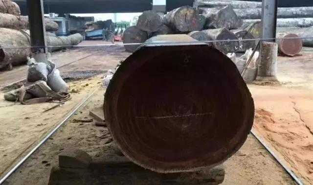 暗访广东天价大板生产基地，原料全是称斤拉木头，富豪还排队来买