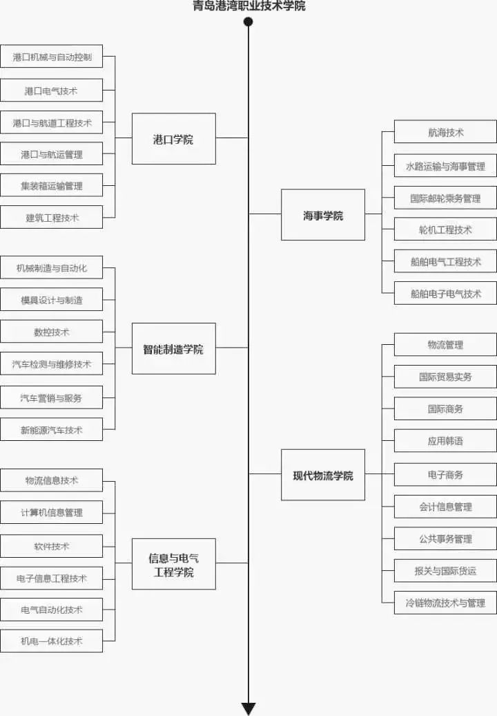 选择青岛港湾的理由,山东职业学院与青岛港湾职业学院