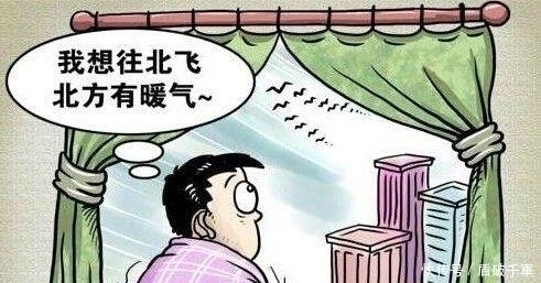 广东潮湿天气墙发霉怎么办,多雨天气柜子发霉