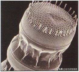 会呼吸的涂料,会呼吸的陶瓷